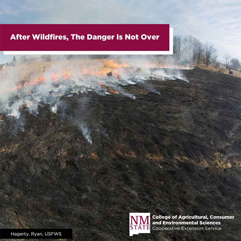 Wildfire Recovery graphic