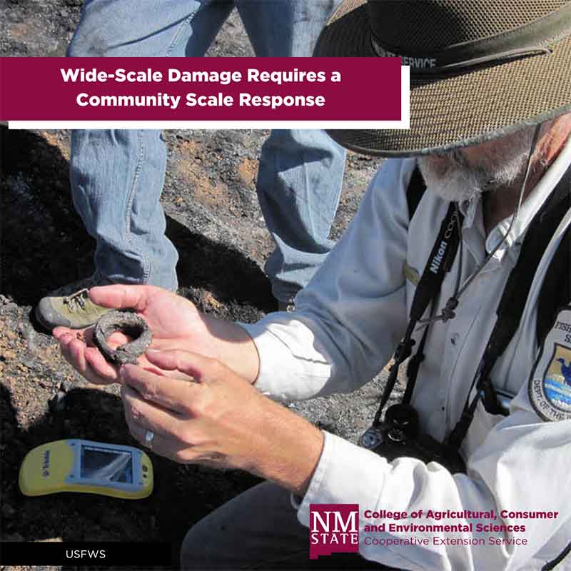 Wide-scale damage requires a community-scale response