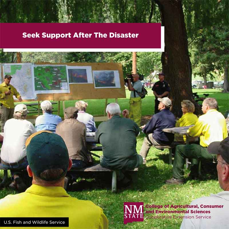 Seek support after the disaster