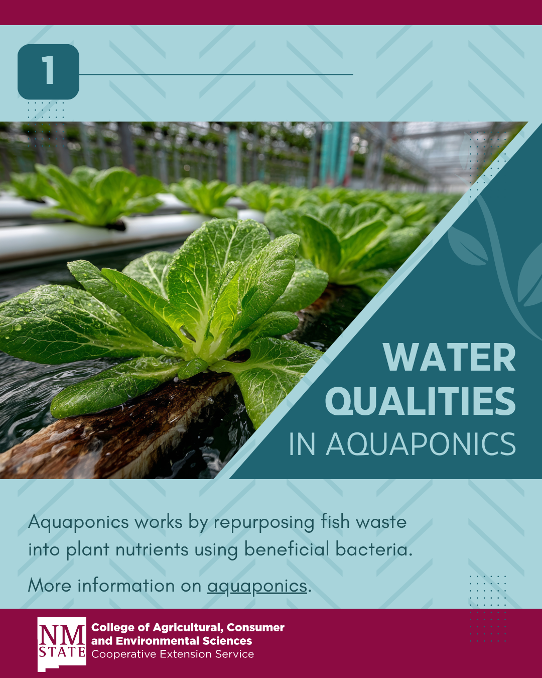 first page of infographic for aquaponics