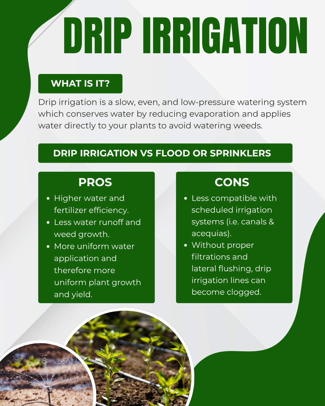 first page of infographic for setting up a drip irrigation system