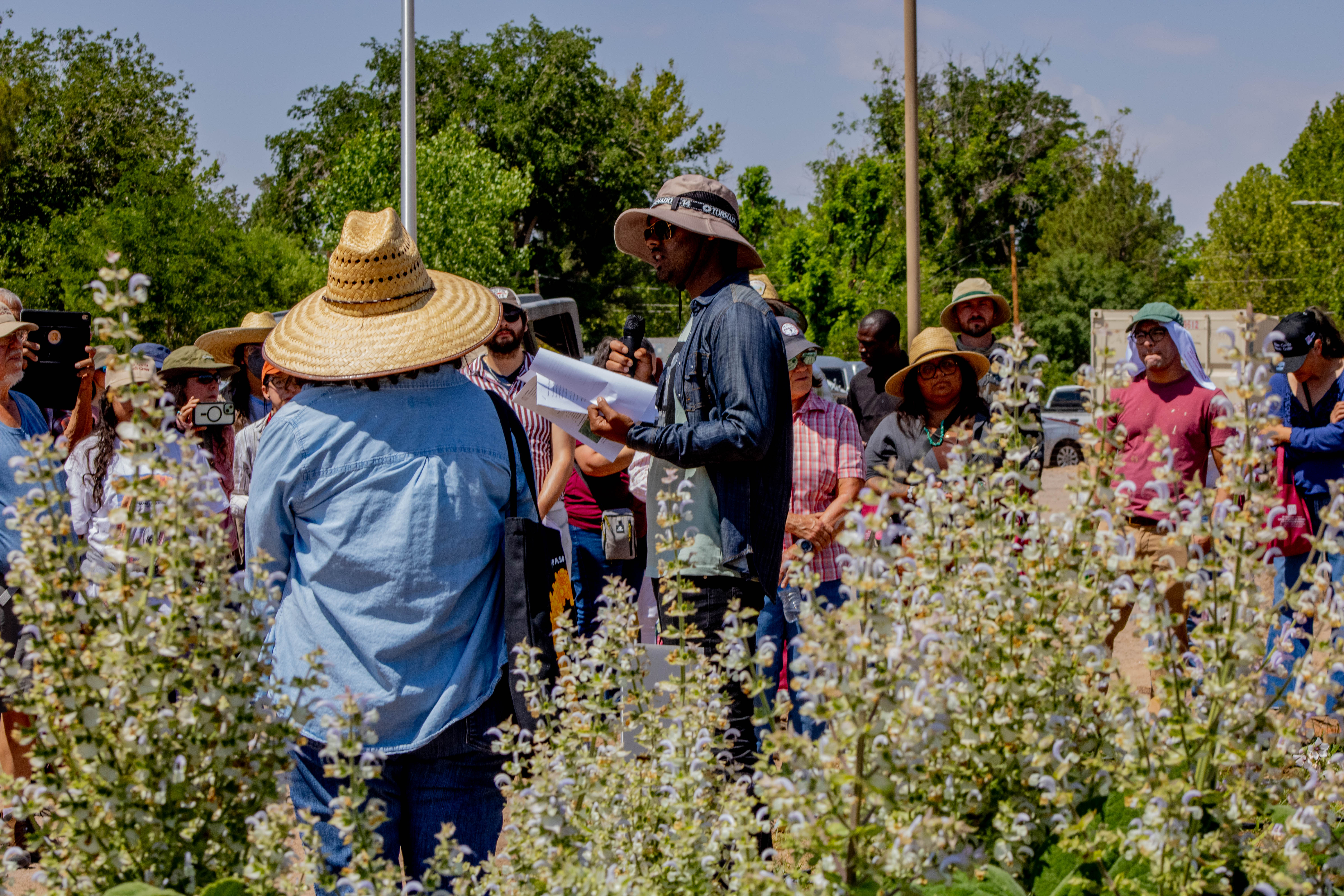 an image of presenters/researchers standing in a field talking to people