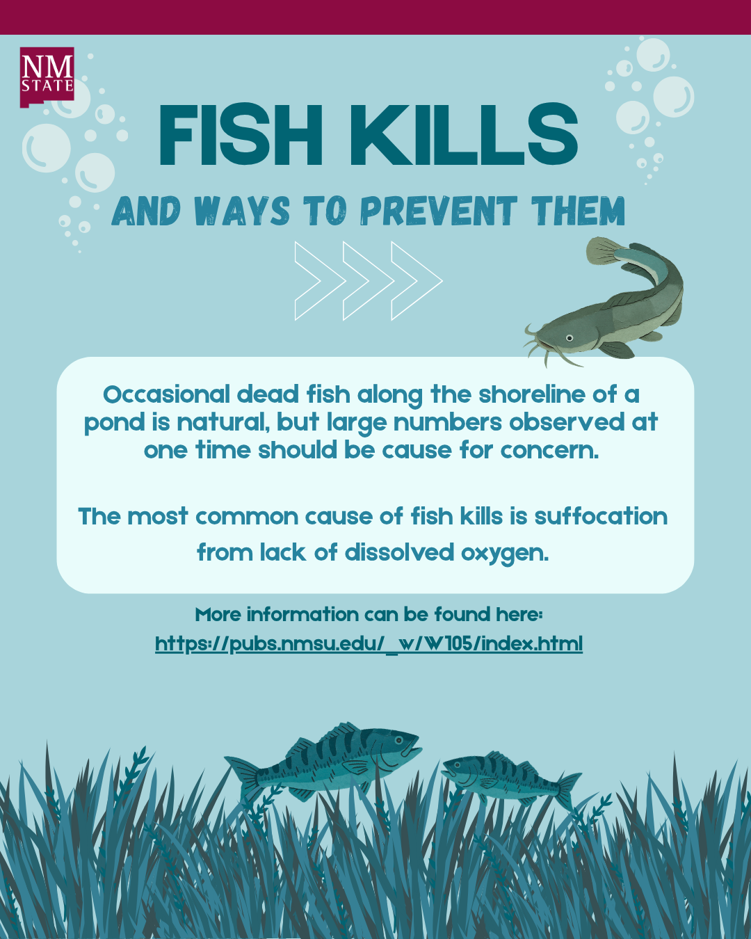 first page of the infographic for fish kills in ponds