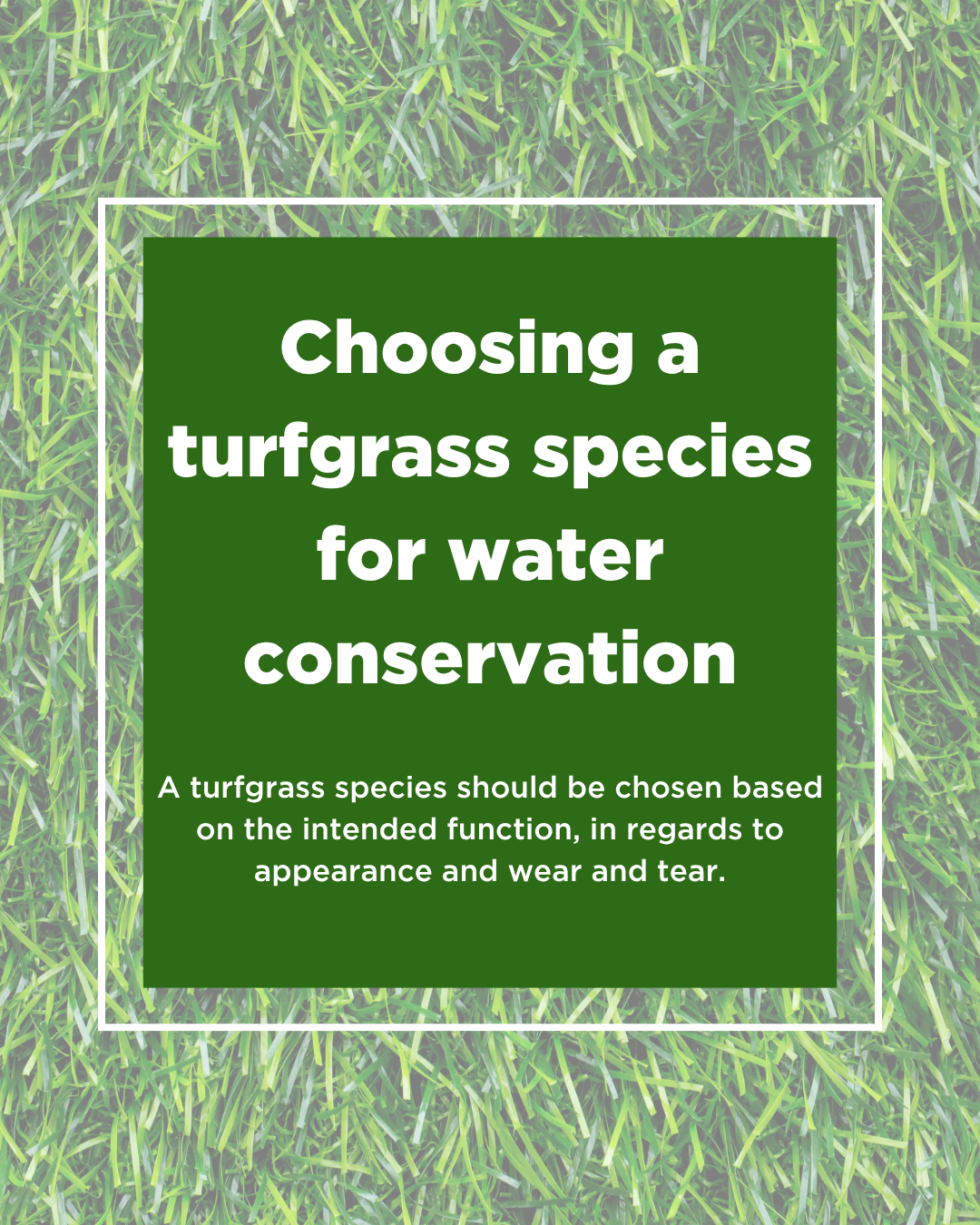 first page of infographic for conserving water with turfgrass